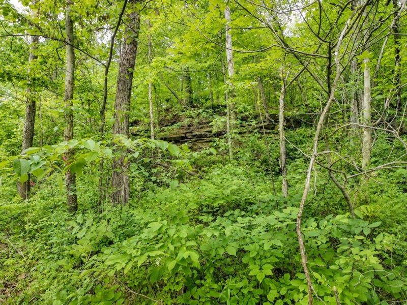 3368 Lowe Lane, McConnelsville, OH 43756 Photo 58