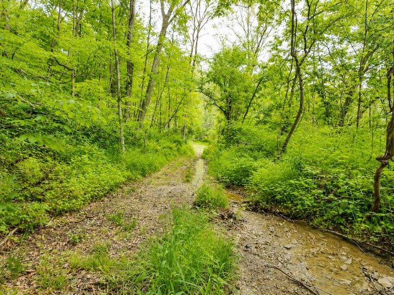 3368 Lowe Lane, McConnelsville, OH 43756 Photo 61