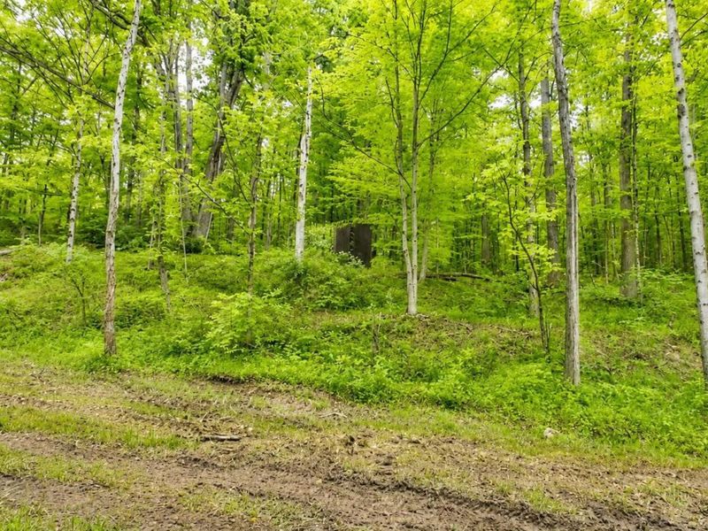 3368 Lowe Lane, McConnelsville, OH 43756 Photo 62