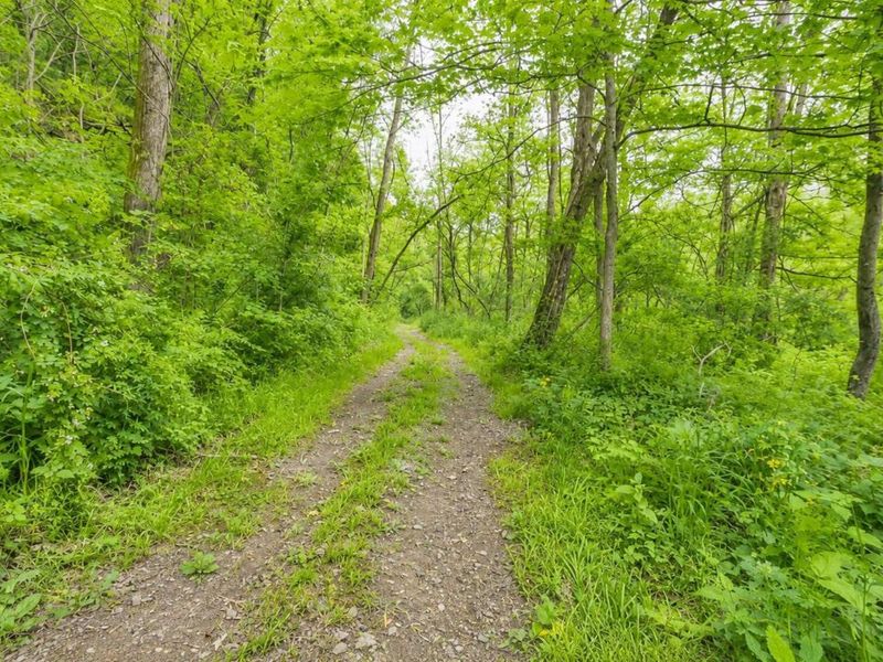 3368 Lowe Lane, McConnelsville, OH 43756 Photo 90