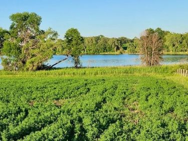XXXX Co-Rd 108 NW, Brandon, MN 56315