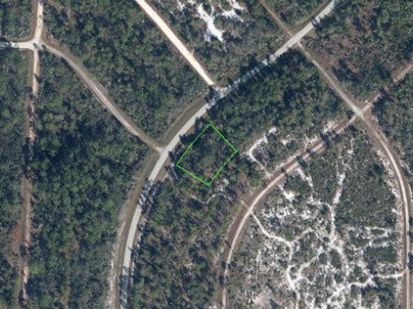721 Wildflower Street, Lake Placid, FL 33852