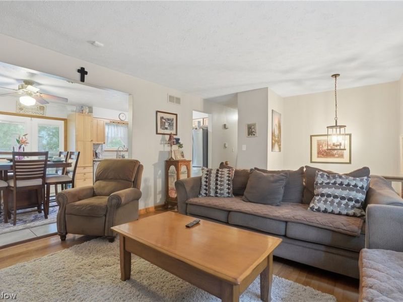 3955 Dunbar Street, Austintown, OH 44515 Photo 11