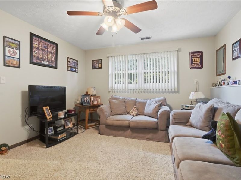 3955 Dunbar Street, Austintown, OH 44515 Photo 12