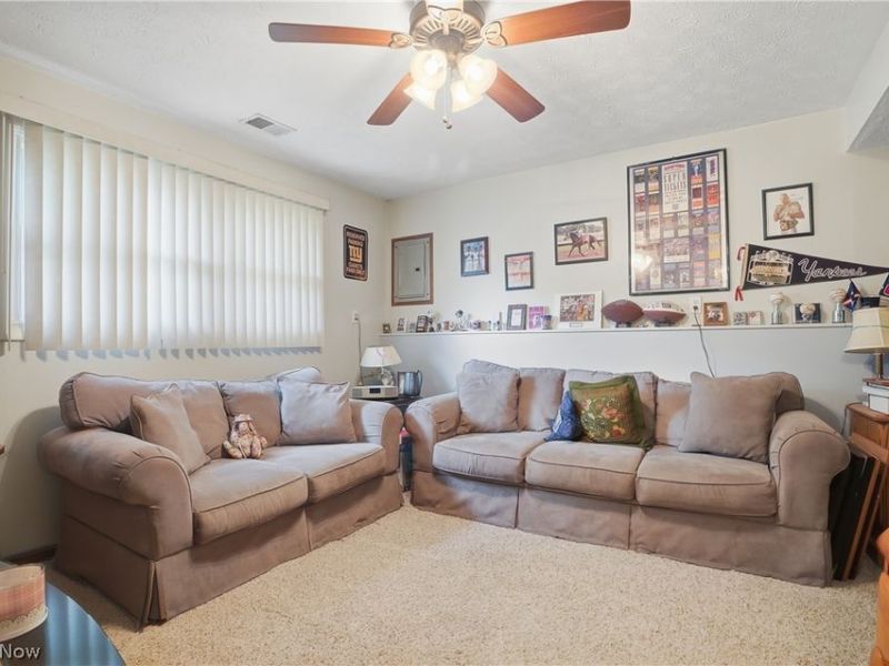 3955 Dunbar Street, Austintown, OH 44515 Photo 13