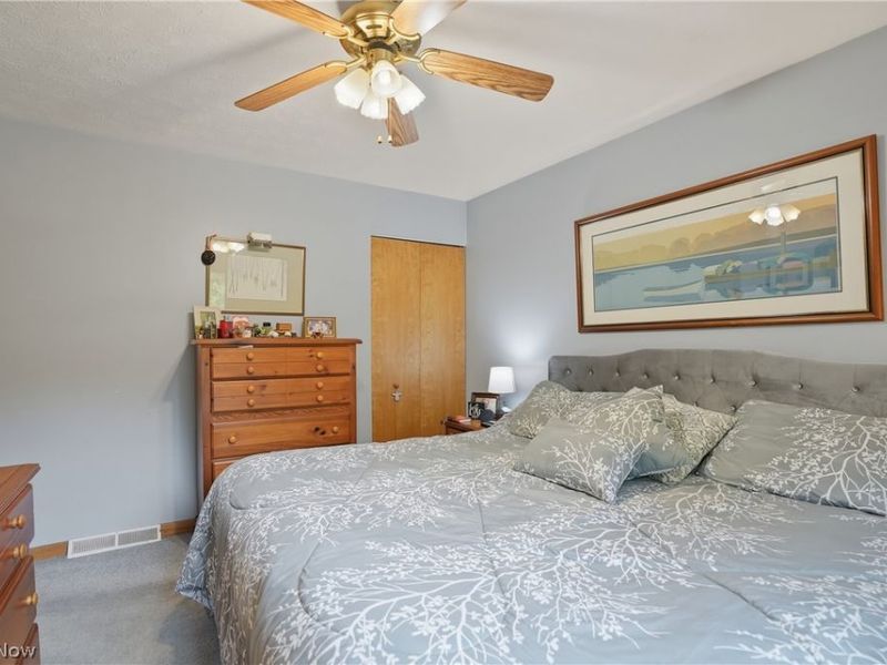 3955 Dunbar Street, Austintown, OH 44515 Photo 17