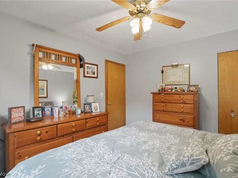 3955 Dunbar Street, Austintown, OH 44515 Photo 18