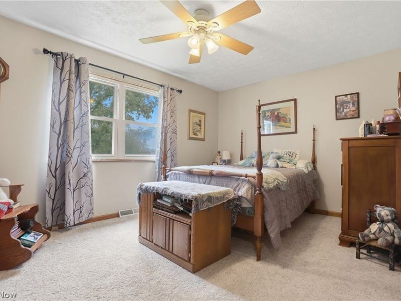 3955 Dunbar Street, Austintown, OH 44515 Photo 21