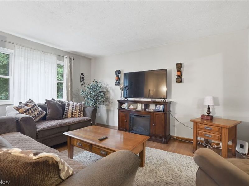 3955 Dunbar Street, Austintown, OH 44515 Photo 9