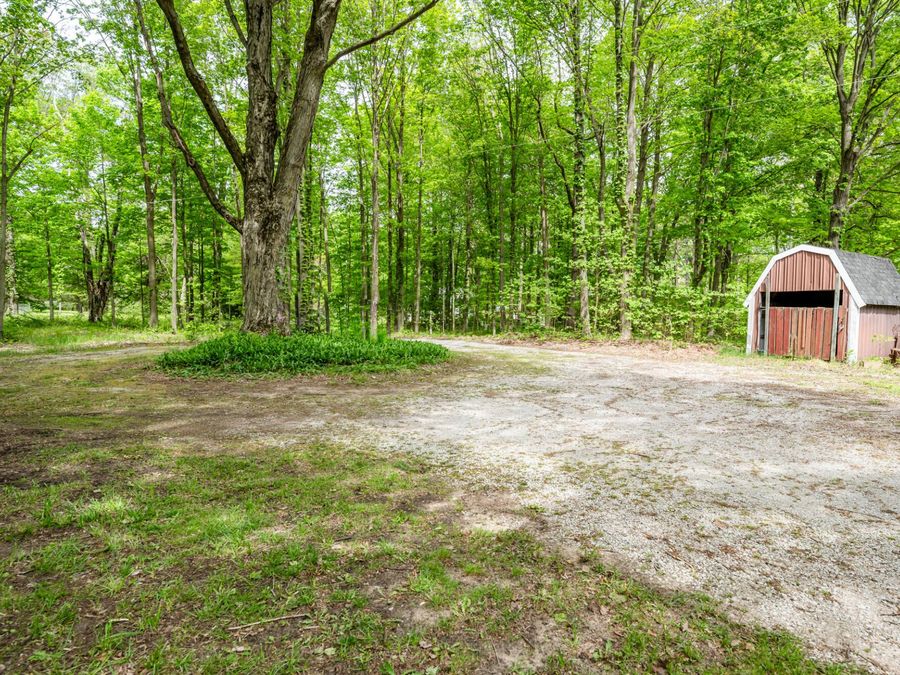 Property Image 49