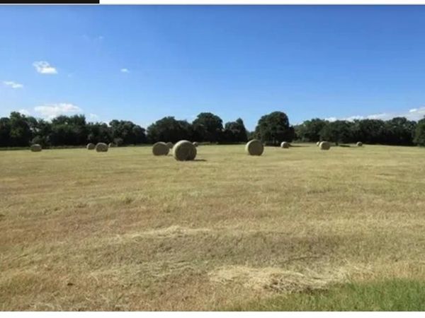 1001 El Rancho Rio, Bridgeport, TX 76426