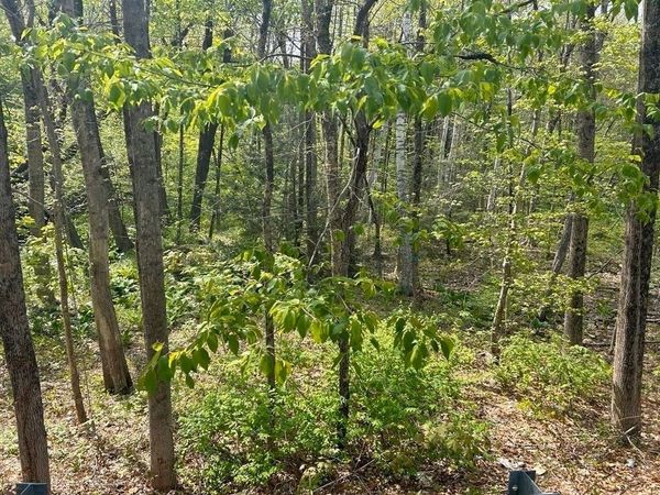 45 Fox Hill Rd, Mashpee, MA 02649