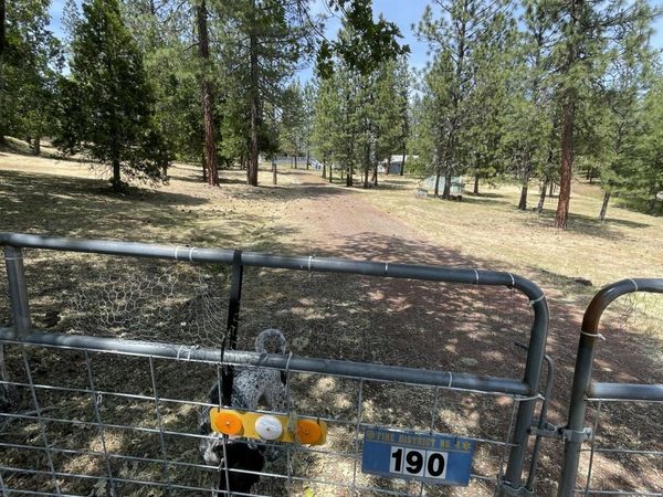 190 Citadel Road, Trail, OR 97541