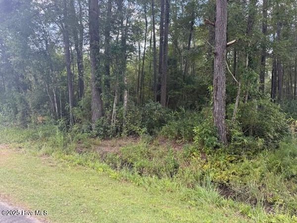 2539 Chauncey Town Road , Lake Waccamaw, NC 28450