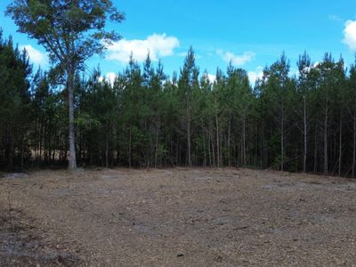 4 Highway 311, Cross, SC 29436