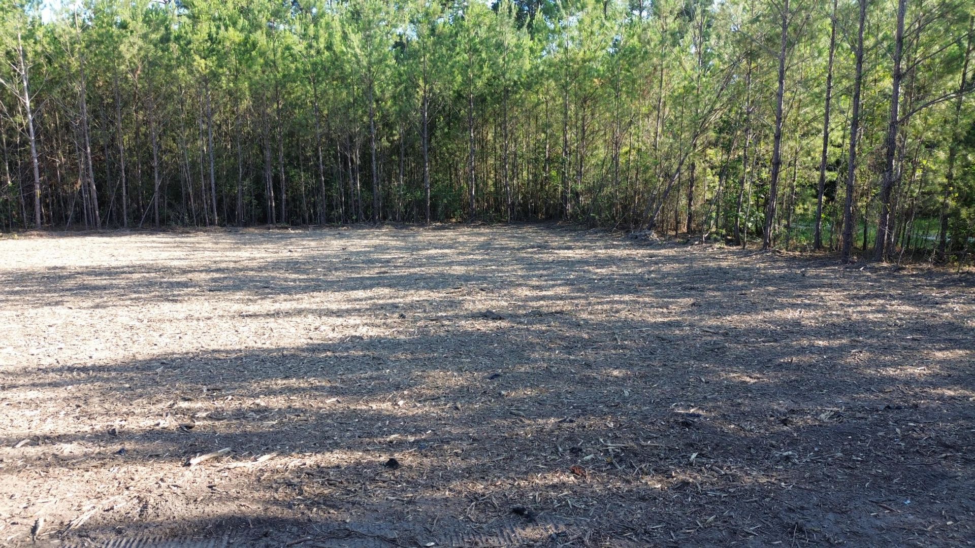 4 Highway 311 Photo 10