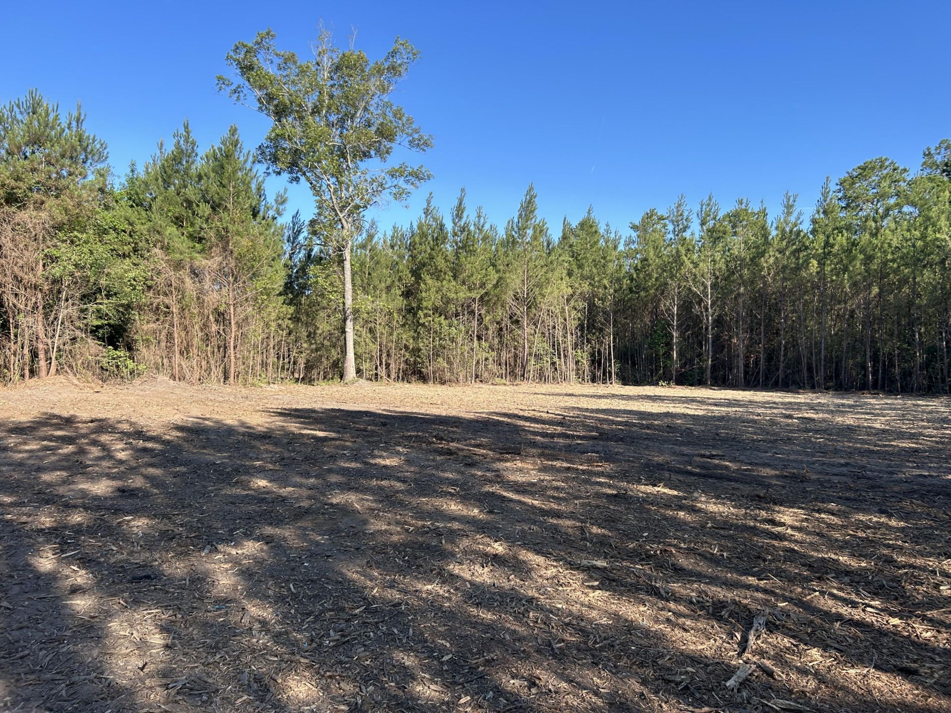 4 Highway 311 Photo 11