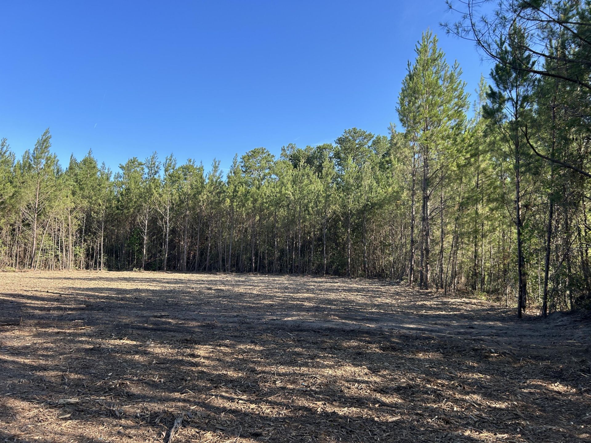 4 Highway 311 Photo 12
