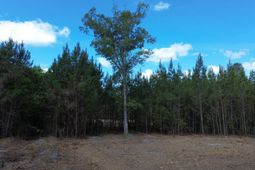 4 Highway 311 photo 4