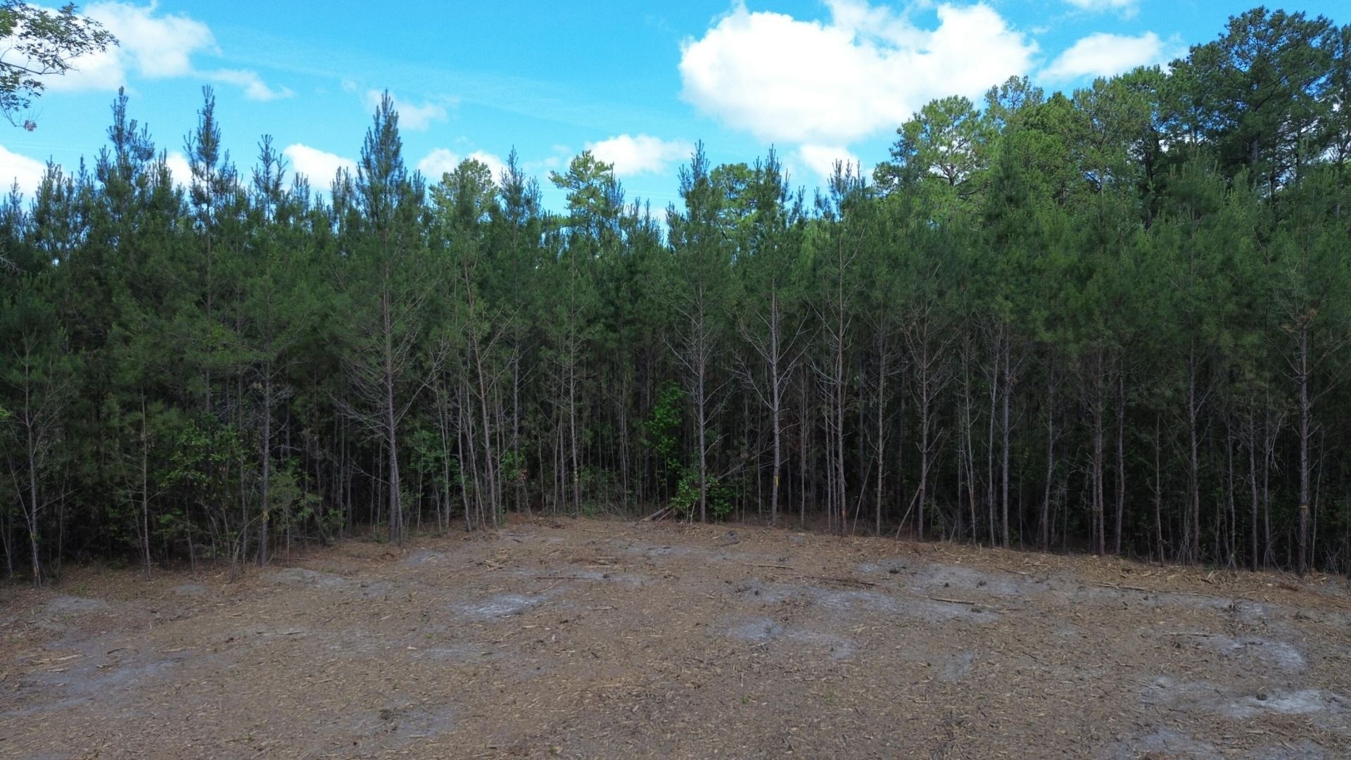 4 Highway 311 Photo 4