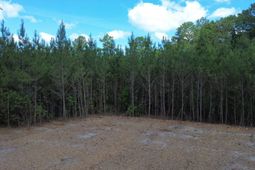 4 Highway 311 photo 4