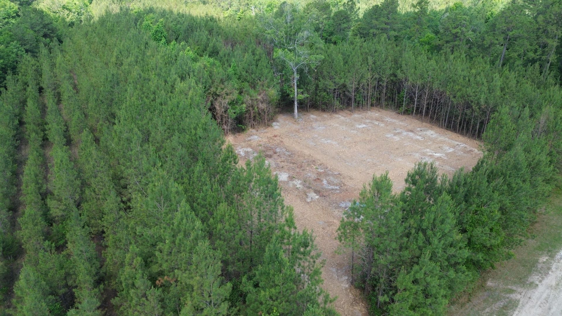 4 Highway 311 Photo 7