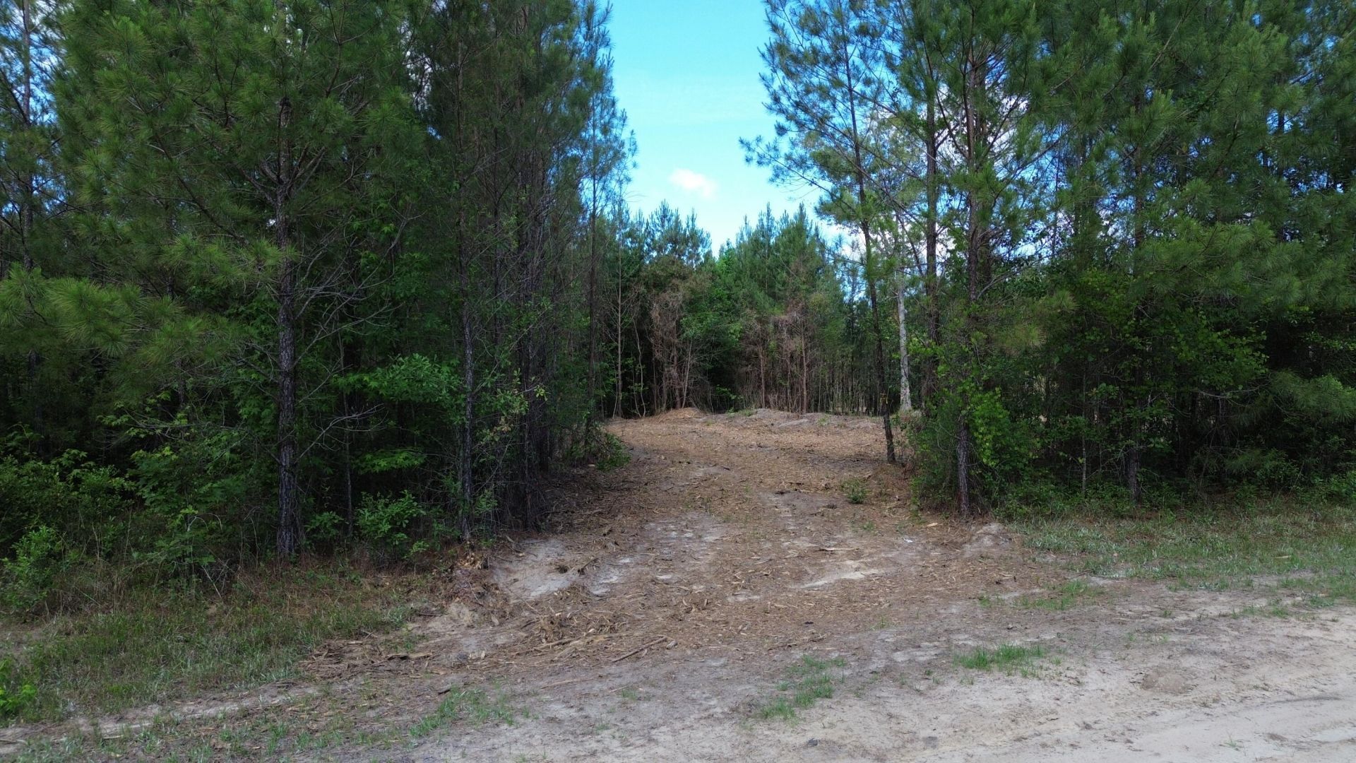 4 Highway 311 Photo 8