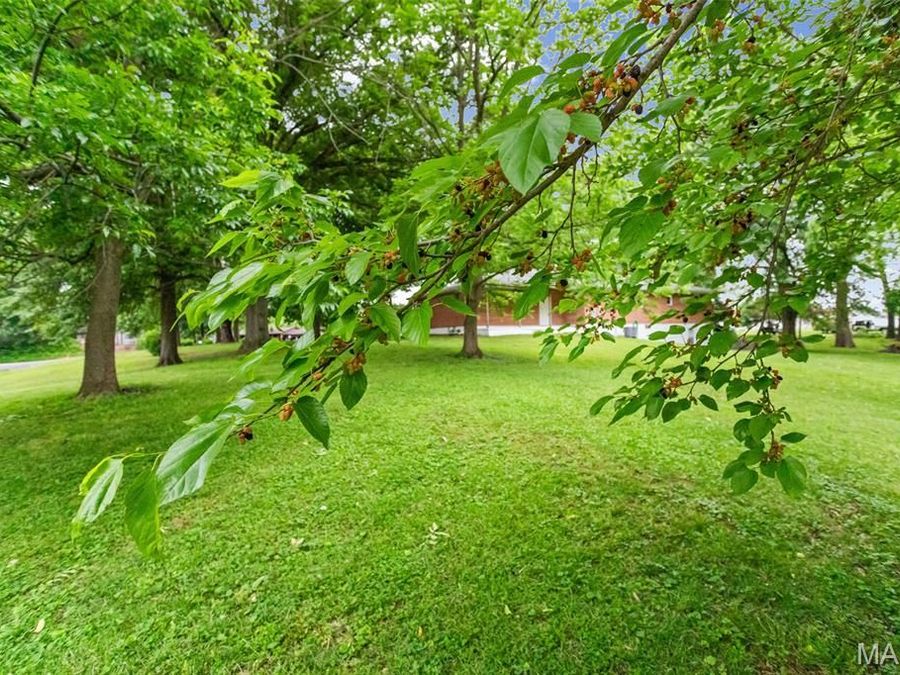 Property Image 57