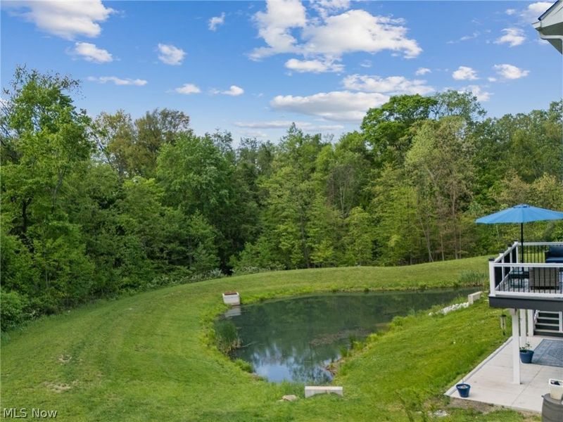 1216 Selena Grove, Green, OH 44685 Photo 4