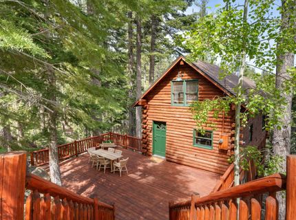 8993 Forest View Drive, Tahoma, CA 96142 Photo