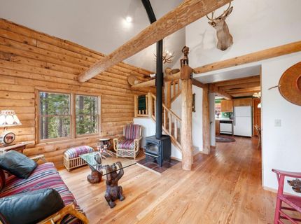 8993 Forest View Drive, Tahoma, CA 96142 Photo