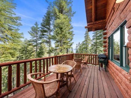8993 Forest View Drive, Tahoma, CA 96142 Photo