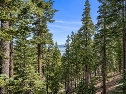 8993 Forest View Drive, Tahoma, CA 96142 Photo