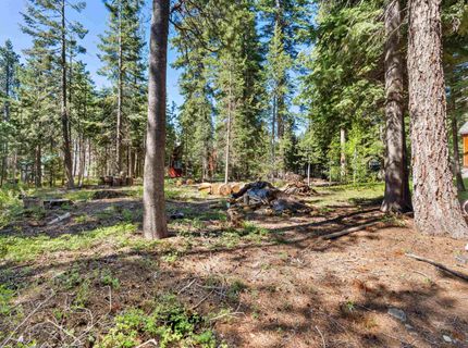 6645 Knobcone Street, Tahoma, CA 96142 Photo