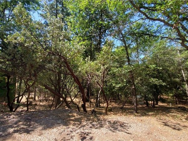 11545 Loch Lomond Road, Loch Lomond, CA 95461