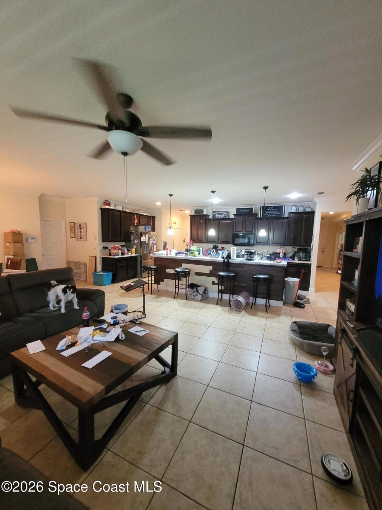 557 L M Davey Lane, Titusville, FL 32780 Photo