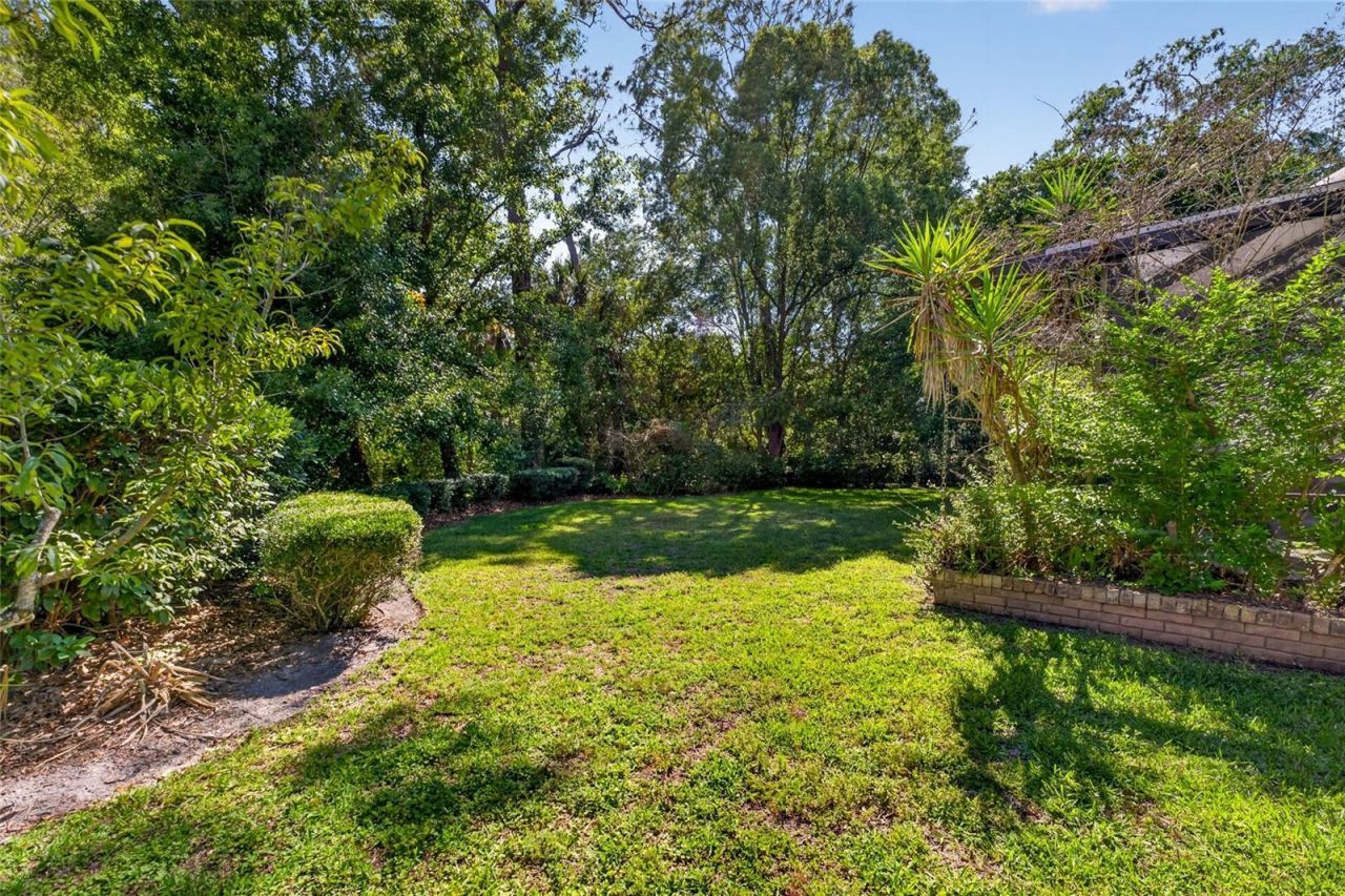 5425 Saddlebrook Way, Wesley Chapel, FL 33543 Photo