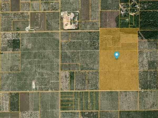 E TWITTY ROAD , SEBRING, FL 33876