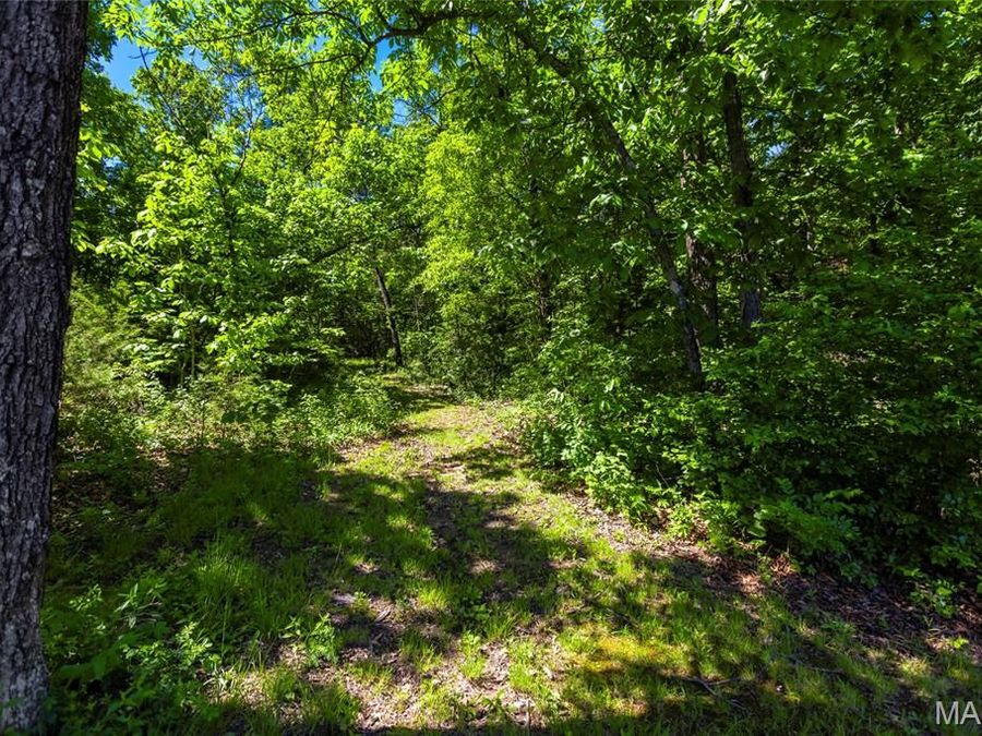 Property Image 51