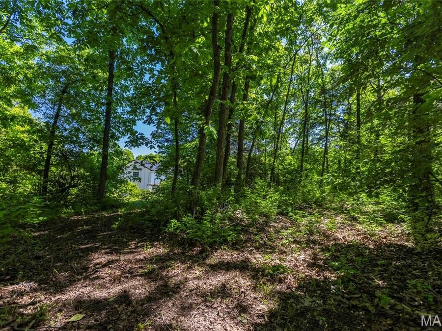 Property Image 55