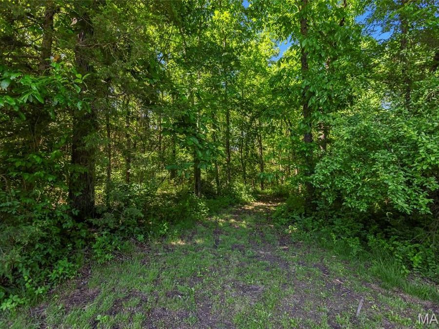Property Image 57