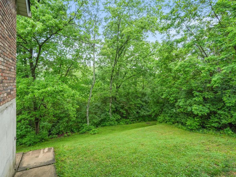 3157 David Court, Edgewood, KY 41017 Photo 38