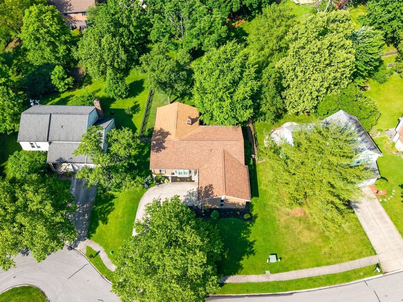 1579 Poplar Ridge Court, Florence, KY 41042 Photo 45