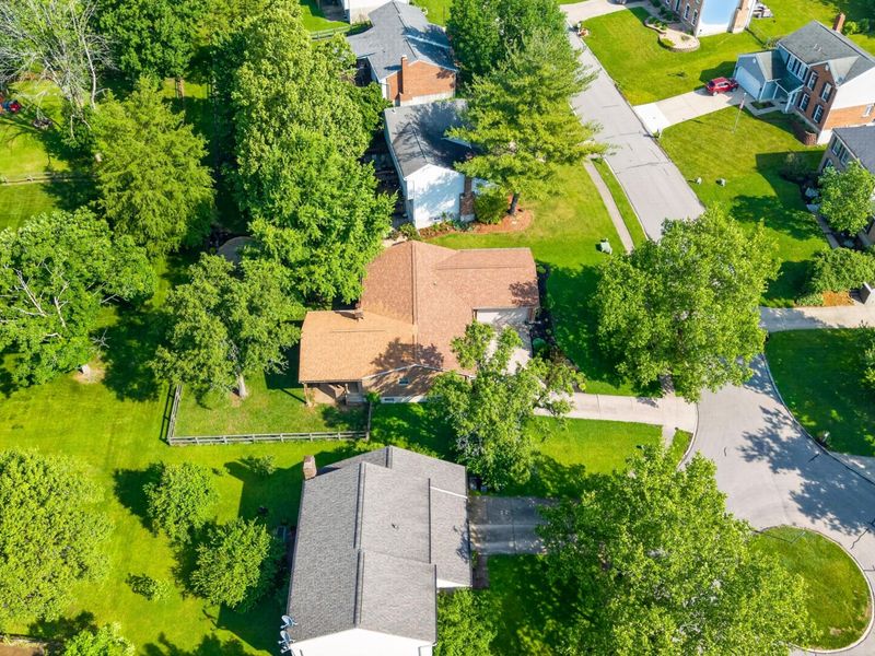 1579 Poplar Ridge Court, Florence, KY 41042 Photo 47