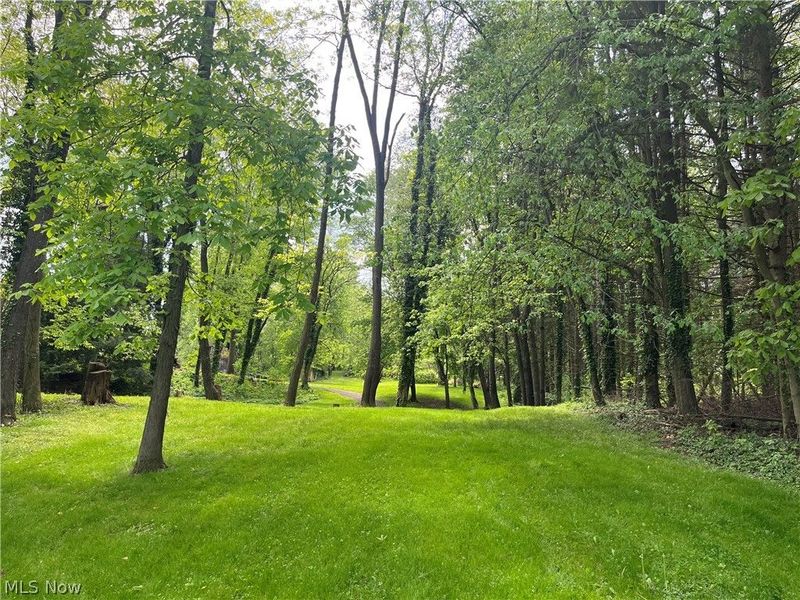 High Mill Avenue NW, Clinton, OH 44216 Photo 2