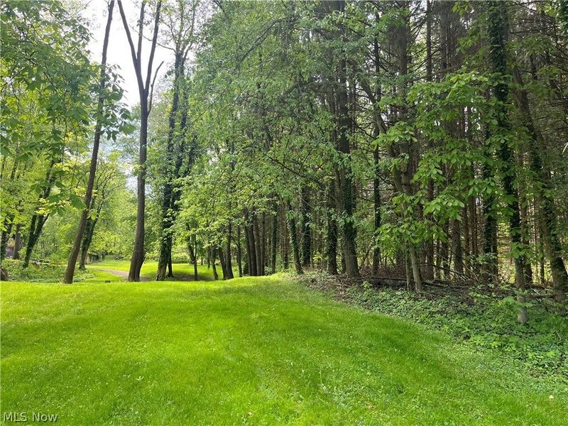 High Mill Avenue NW, Clinton, OH 44216 Photo 10