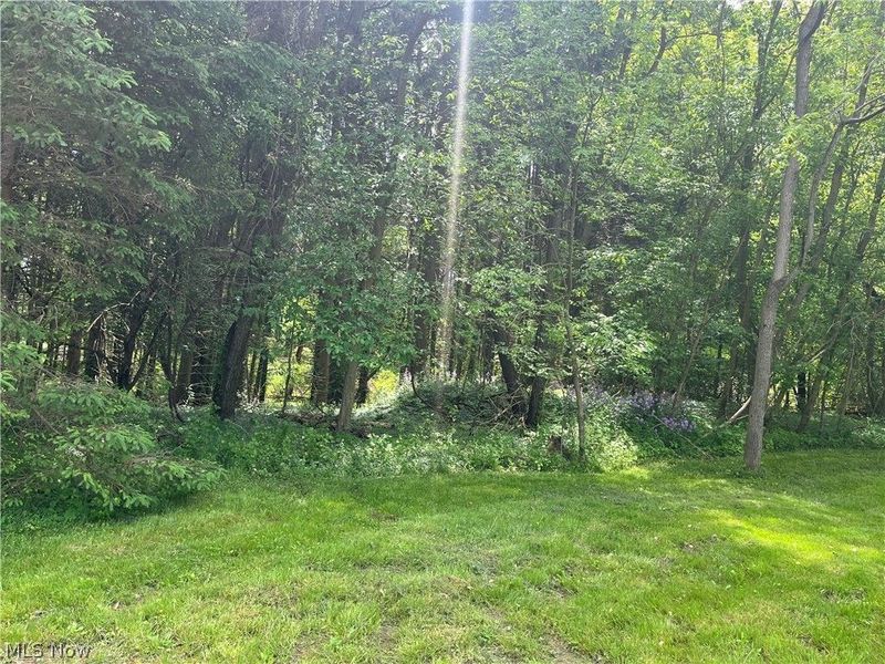 High Mill Avenue NW, Clinton, OH 44216 Photo 11