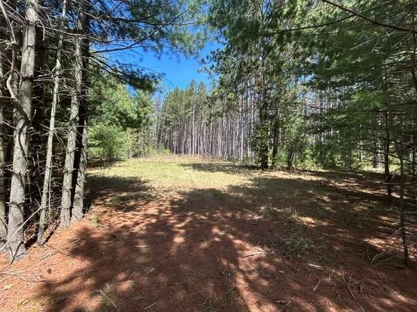 xxx Ridgewood Road, Grand Rapids, MN 55744