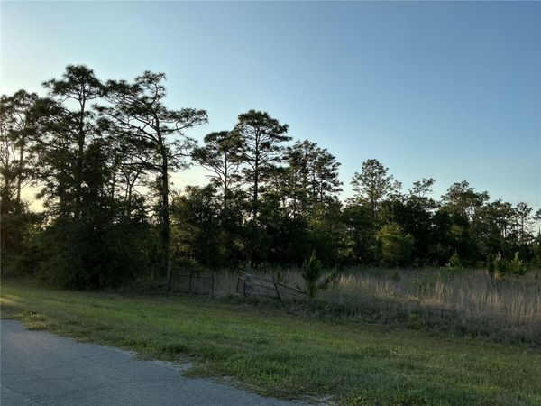 REYNOLDS PARKWAY , ORLANDO, FL 32833