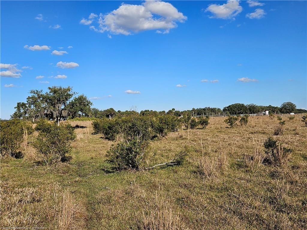 320 Grigsby Road , Venus, FL 33960 Photo